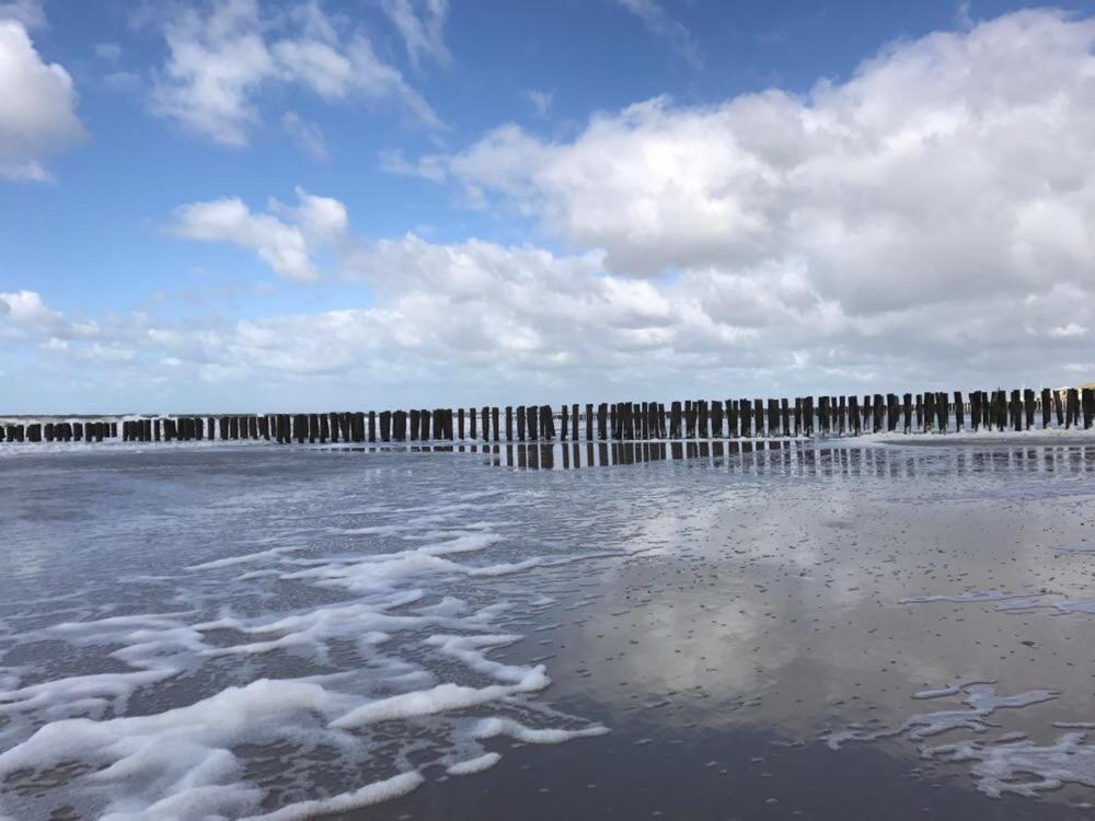 Duinvilla Aan De Zee B&B Zoutelande Extérieur photo