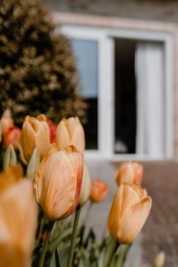Duinvilla Aan De Zee B&B Zoutelande Extérieur photo